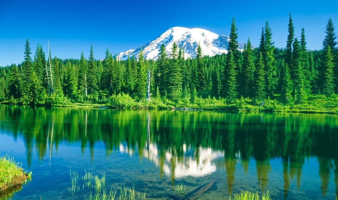 Trail and Ski