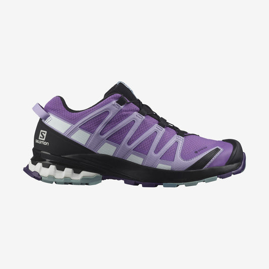 Women's XA Pro 3D v8 GTX