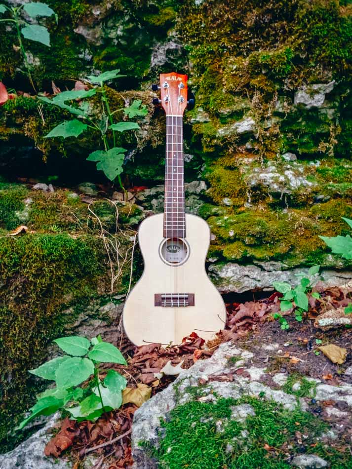 Musical Instruments – Trail and Ski