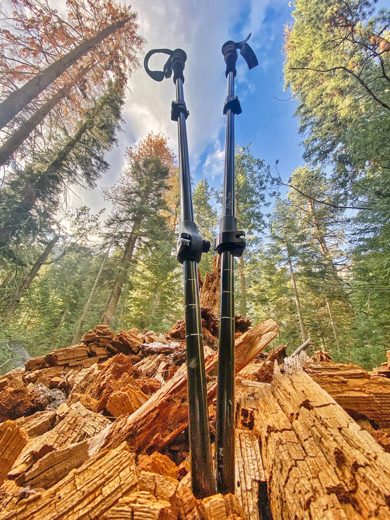 Trekking Poles