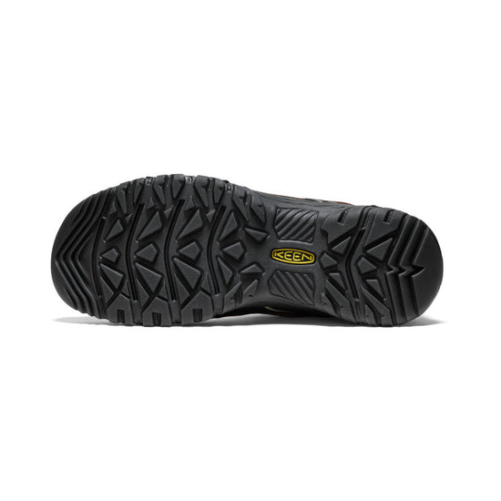 Men's Targhee IV Waterproof Hiking Shoe