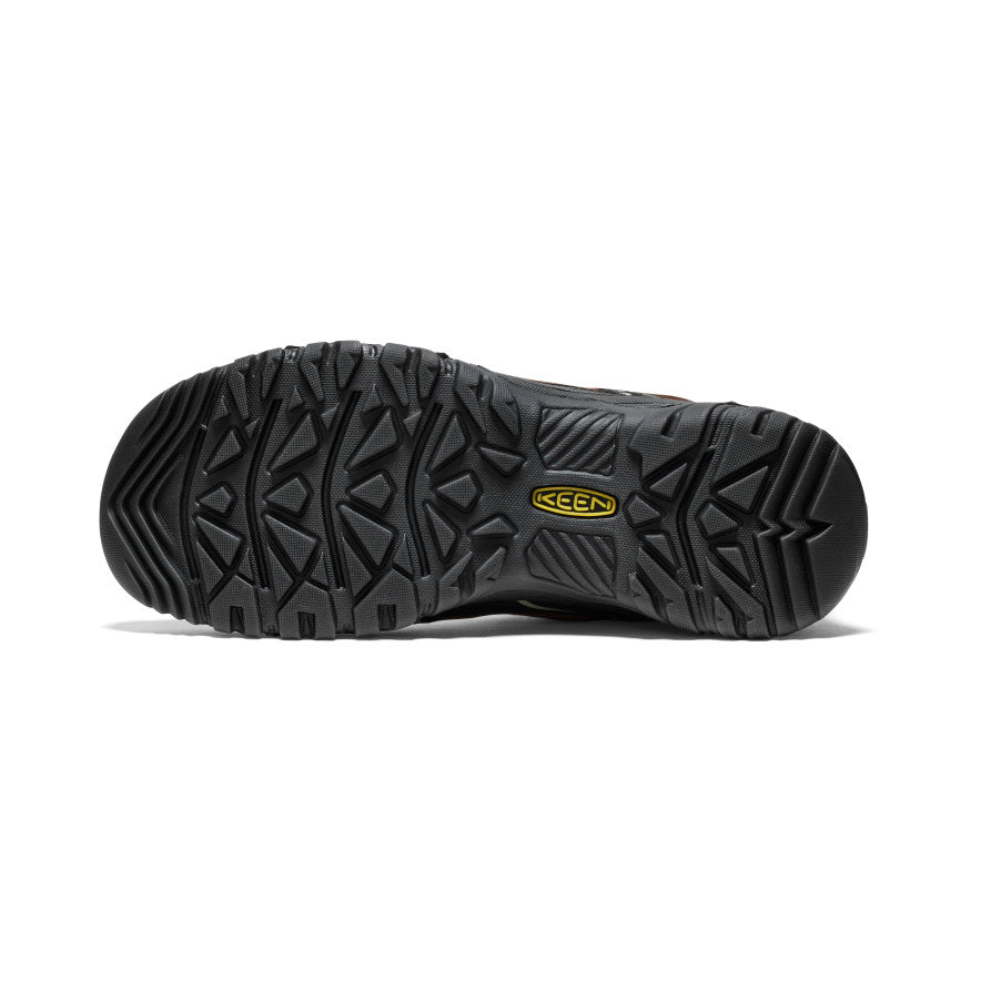 Men's Targhee IV Waterproof Hiking Shoe