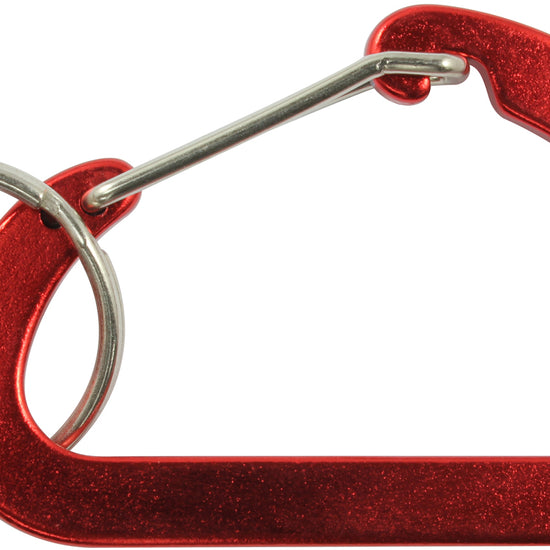 Flat Large D Carabiner