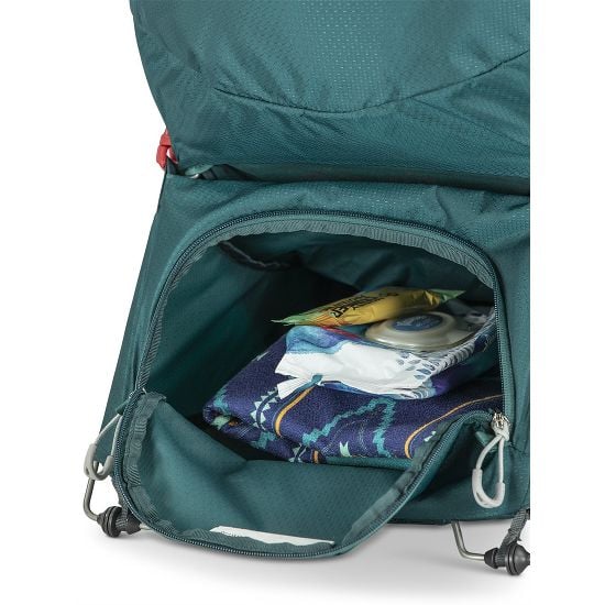 Poco LT Child Carrier (In-store pickup ONLY)